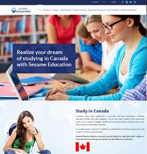 Web design Markham