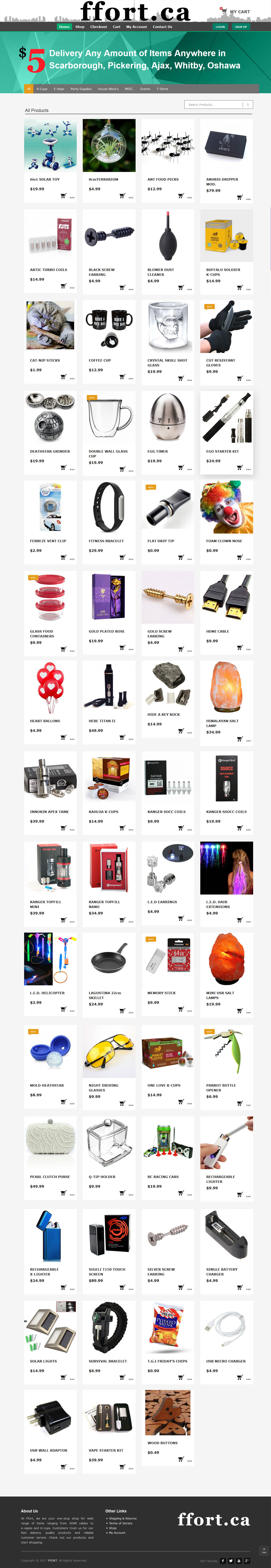 Ecommerce Web Design Markham